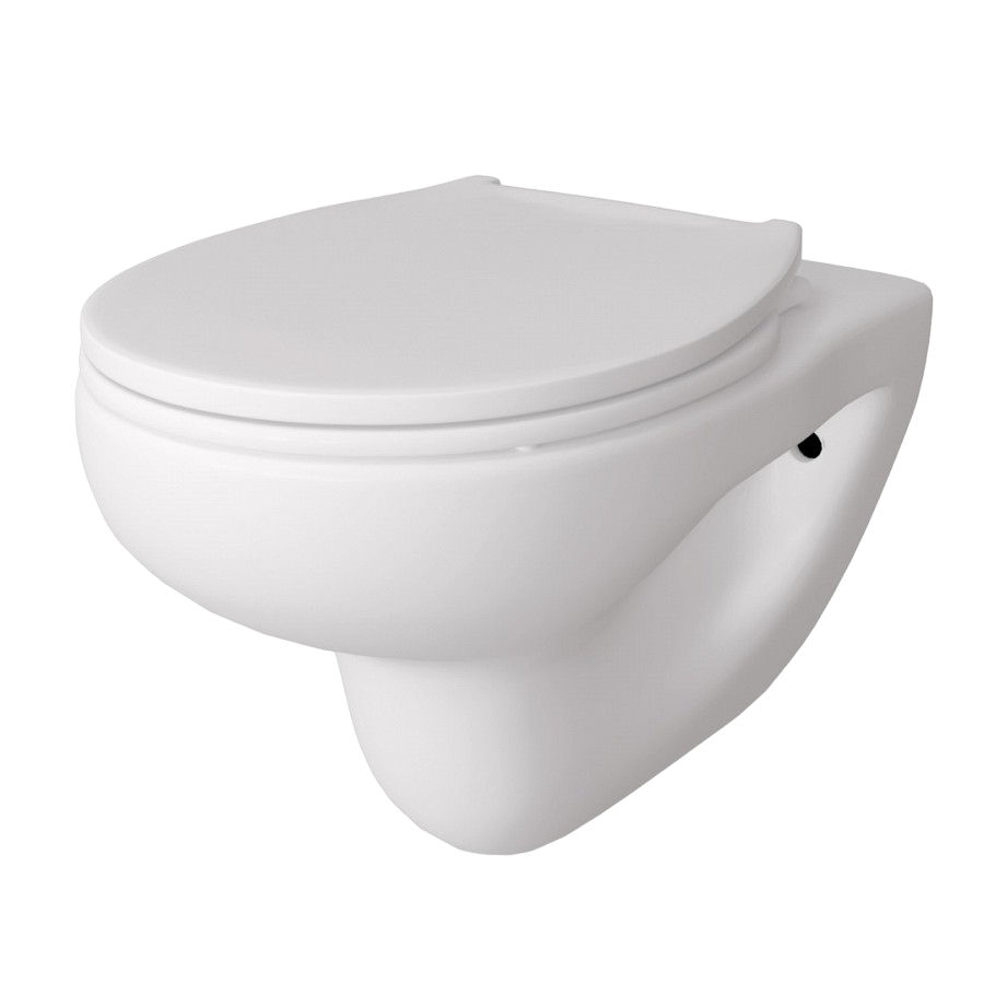 f8bd2277e801e2b8ea73c4a38010d2db-Photoroom