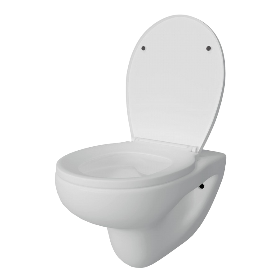 dc3b7eb3973e3a31af7e23866f799e9c-Photoroom